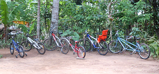 Specialized Bikes and Bikes Equipment