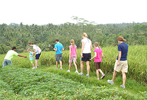 Bali Rice Terrace Trekking Tour