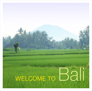 Come and Enjoy Bali